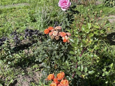 dom-gorod-kstovo-kstovskiy-rayon фото