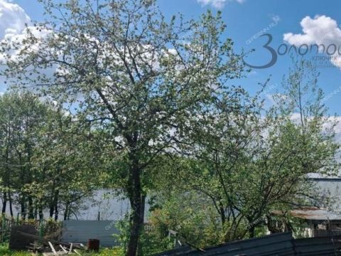 dom-derevnya-vanisovo-gorodskoy-okrug-chkalovsk фото