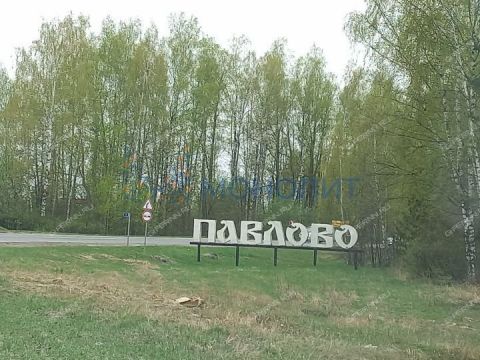 gorod-pavlovo-pavlovskiy-municipalnyy-okrug фото