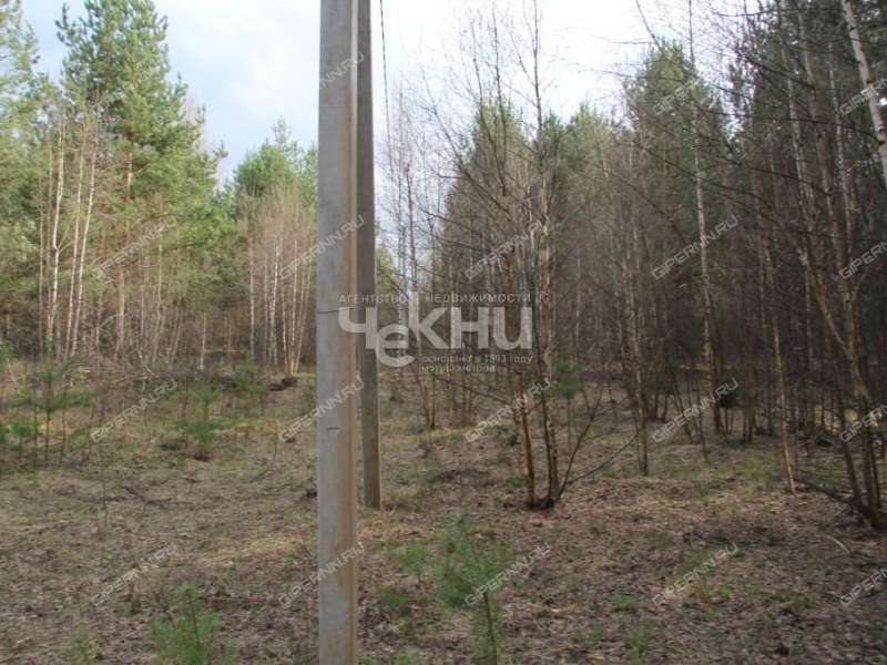 земельный участок 10,6 сотки Тенистая деревня Кудрино