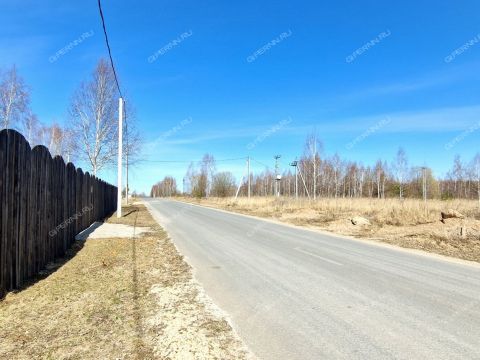 derevnya-krivaya-sheloksha-kstovskiy-rayon фото