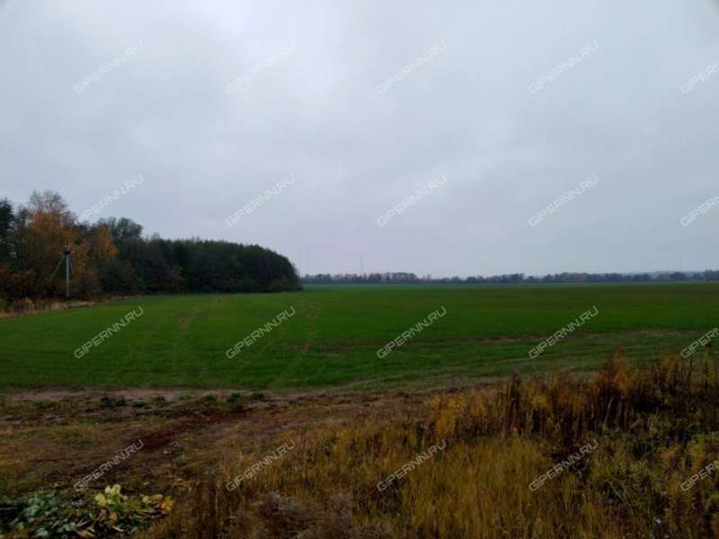 дом на Васильковая