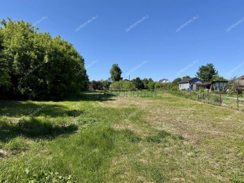 gorodskoy-okrug-bor-gorodskoy-okrug-bor фото