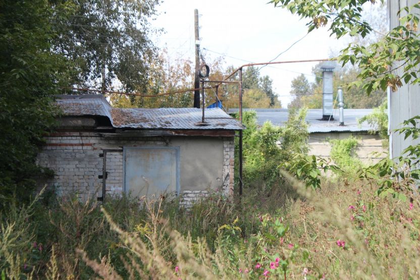 Фото: Ксения Ражева / gipernn.ru