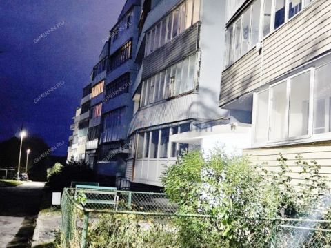 1-komnatnaya-selo-rabotki-kstovskiy-rayon фото