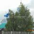 земельный участок 19 соток улица Невского город Балахна