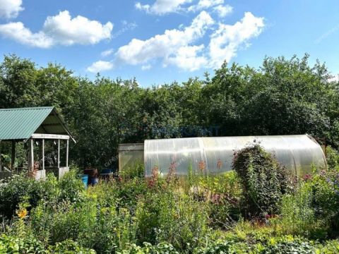 dacha-snt-druzhba-snt-druzhba фото