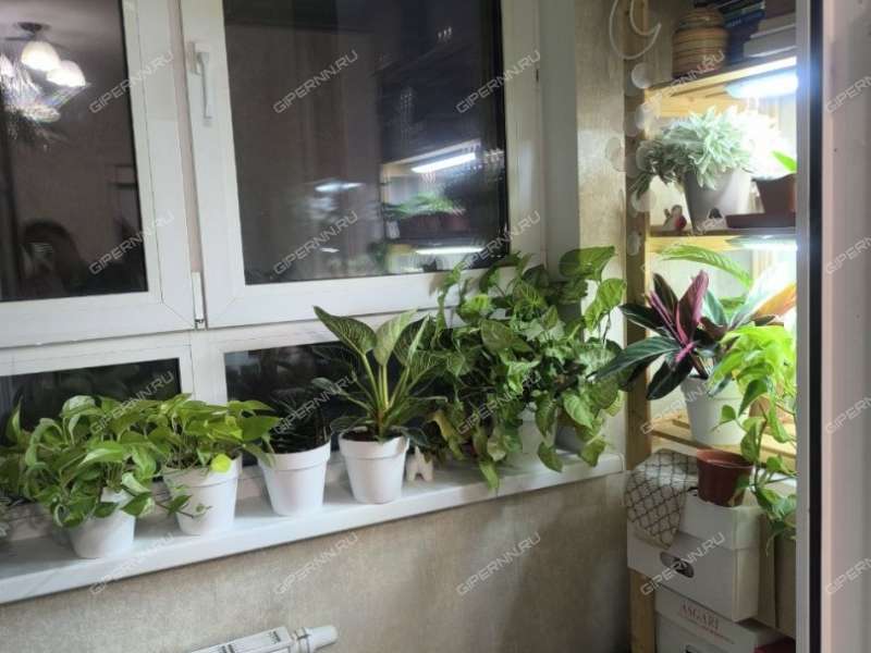 однокомнатная квартира на улице Мечтателей дом 2