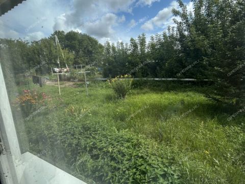 1-komnatnaya-selo-shava-kstovskiy-rayon фото