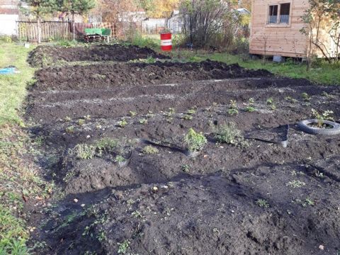 dom-snt-kalinka-gorodskoy-okrug-bor фото