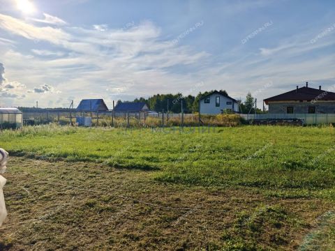 derevnya-gumnishhi-balahninskiy-municipalnyy-okrug фото