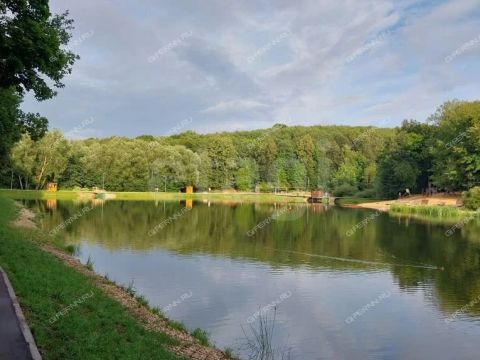 2-komnatnaya-sh-ankudinovskoe-d-11b фото