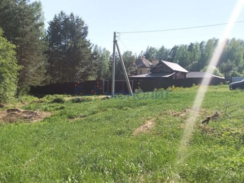 derevnya-ryabinki-gorodskoy-okrug-bor фото