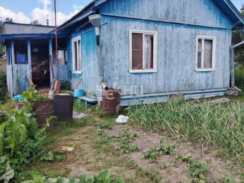 dacha-selo-linda-gorodskoy-okrug-bor фото