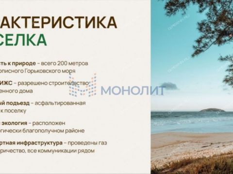 derevnya-filino-sokolskiy-gorodskoy-okrug фото