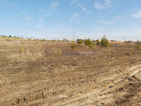 derevnya-nepecino-bogorodskiy-municipalnyy-okrug фото