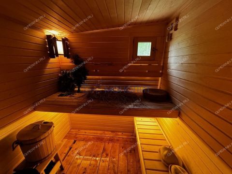 dom-derevnya-pionerskoe-ostankinskiy-selsovet-gorodskoy-okrug-bor фото