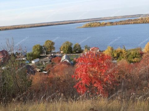 selo-barmino-lyskovskiy-municipalnyy-okrug фото