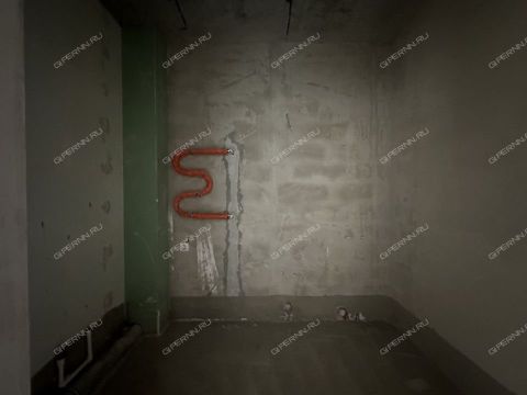 1-komnatnaya-poselok-parysheva-ul-zelenhozovskaya-d-1 фото