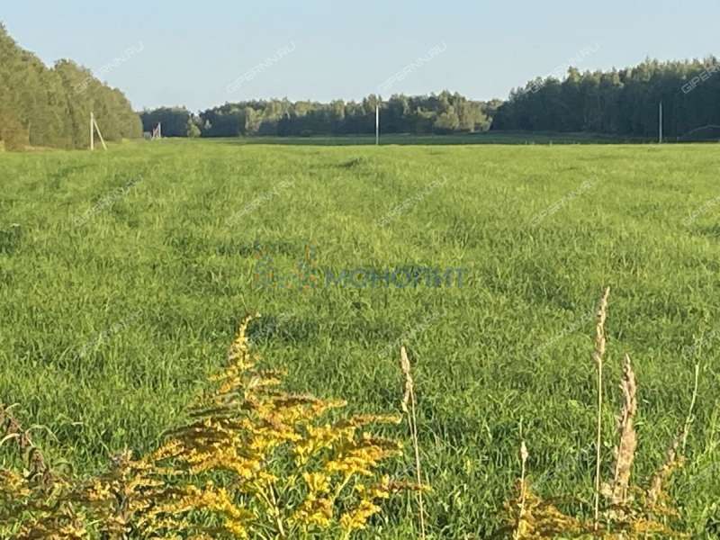 земельный участок 70 соток Цветаевой улица село Каменки