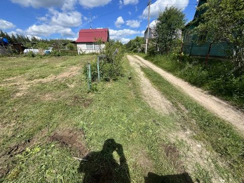 sad-snt-shoniha-7-bogorodskiy-municipalnyy-okrug фото