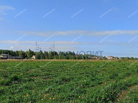 derevnya-burcevo-bogorodskiy-municipalnyy-okrug фото