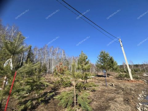 derevnya-soboliha-gorodeckiy-rayon фото