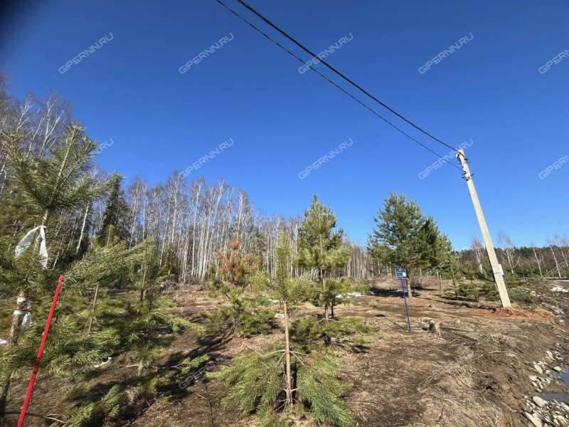 земельный участок под сельхоз назначение в Городецком районе Нижегородской области